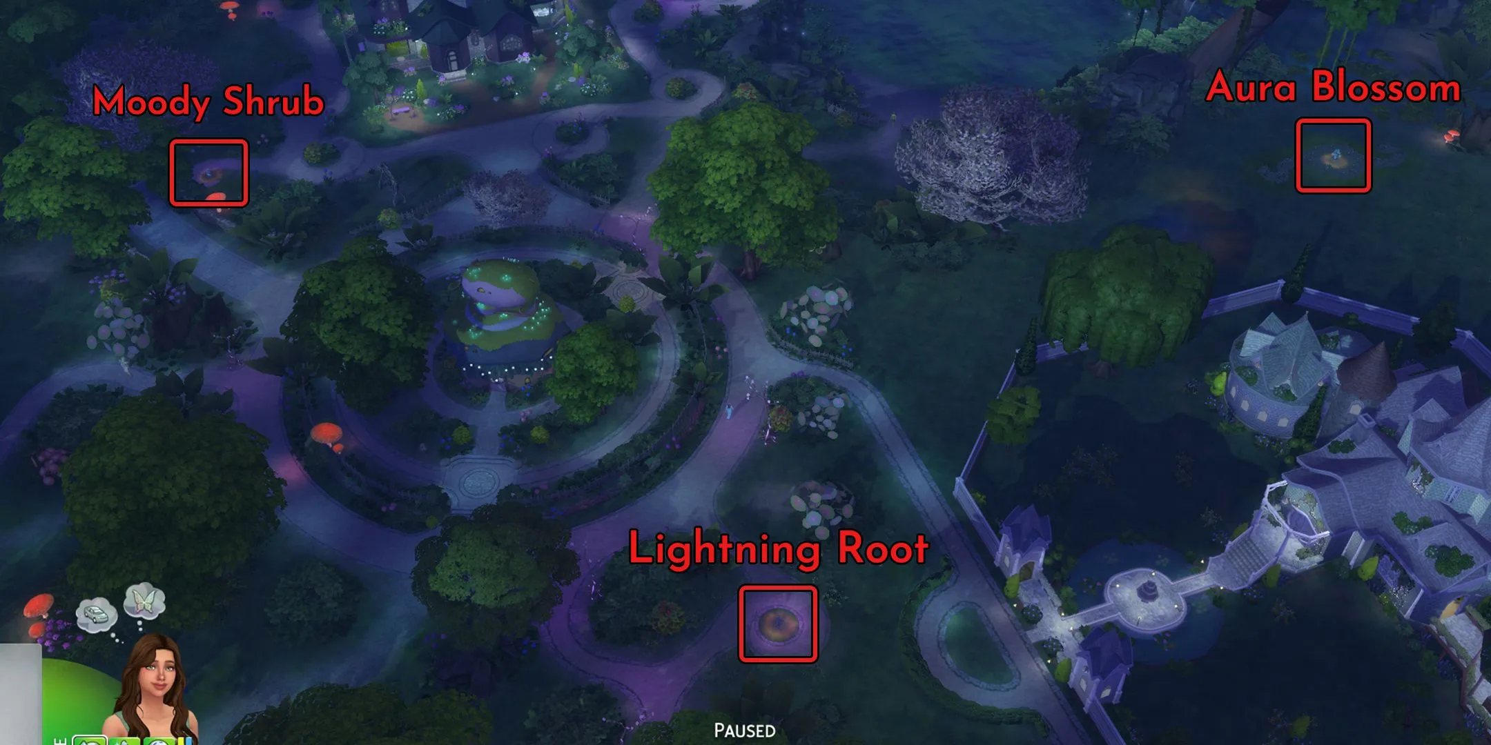 Cây Aura Blossom nở rộ bên hồ thần tiên Everdew trong The Sims 4