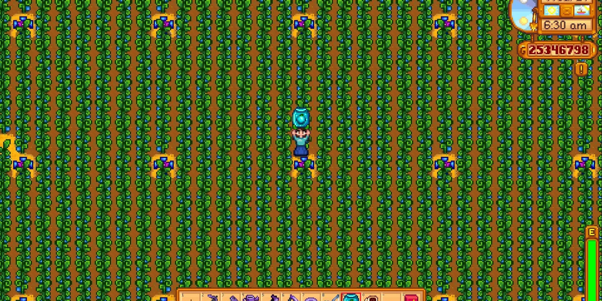 Hình ảnh một trang trại Ancient Fruit rộng lớn trong Stardew Valley, cây cối bao phủ toàn màn hình